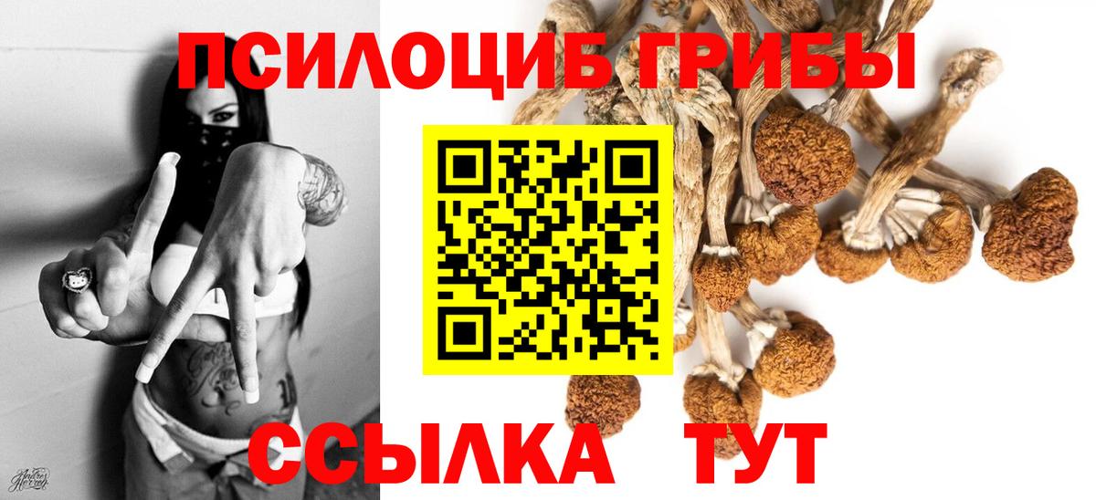 Галлюциногенные грибы GOLDEN TEACHER Тимашёвск