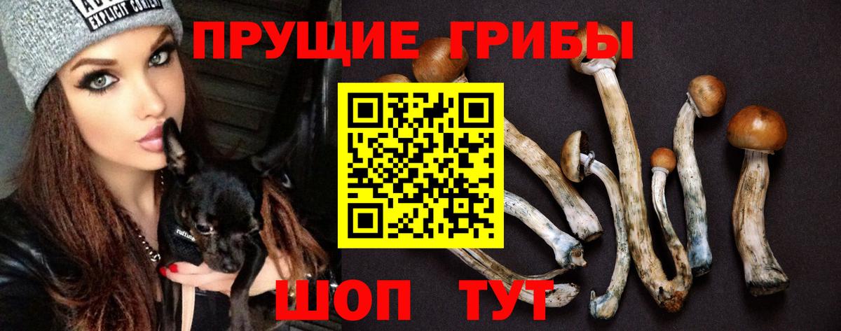 Галлюциногенные грибы Psilocybe  Псилоцибиновые грибы Magic Shrooms  Тимашёвск  Вход с VPN 